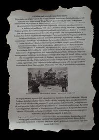 Nagroda specjalna