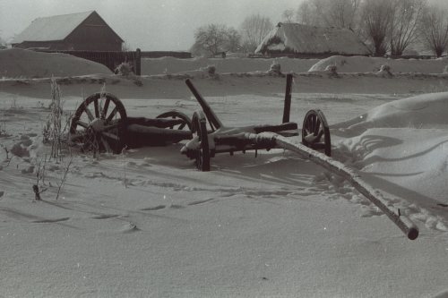 Żydów w 1978 r.