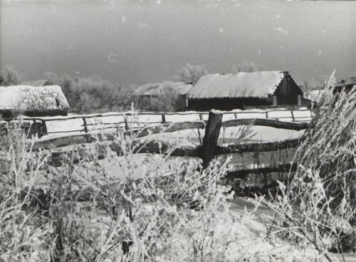 Żydów w 1978 r.