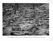 17 września 1939 r. i jego następstwa