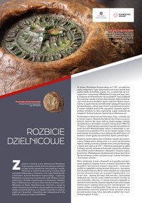 Bezsenne głowy, co dźwigają korony
