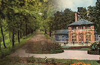 Banner - Wystawa on-line
