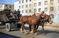 Banner - Wystawa on-line