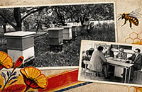 Banner - Wystawa on-line